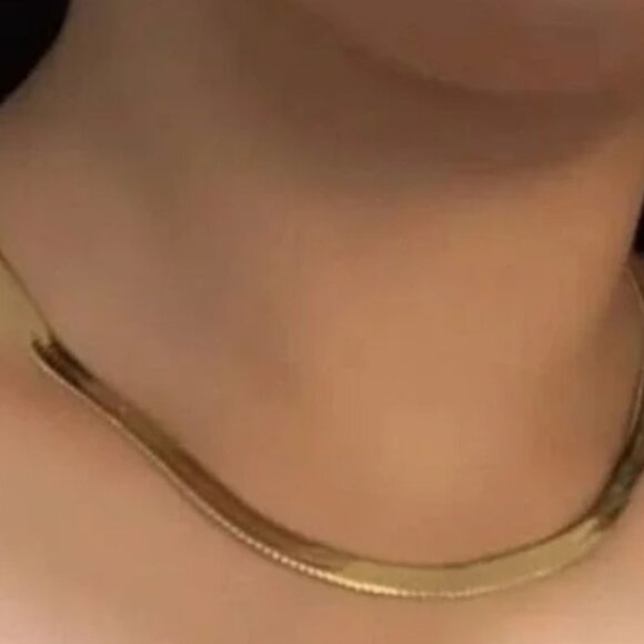 Jennifer Zeuner 14K Yellow Gold Plated Herringbone Hamilton Necklace - Picture 1 of 4
